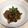 Cooksnap dari Alika untuk resep Thai Beef Basil