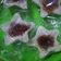 Cooksnap dari Mas Yati untuk resep Kue tradisional simpel dan lembut
