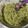 El cooksnap de ghaniatreides cuando hizo Espaguetis de calabacín con pesto de brócoli.
