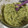El cooksnap de ghaniatreides cuando hizo Espaguetis de calabacín con pesto de brócoli.