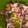 Cooksnap dari Chelsy Wulandari untuk resep Tumis cumi asin