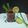 Rita Talukdar Adak's cooksnap of when they made Lemongrass Mint Tea.