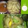 Cooksnap dari Princess Green untuk resep Pempek Dos