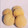 Ayshaa Abk's cooksnap of when they made Coconut Cookies.