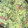 ZU's cooksnap of when they made Pico de Gallo/Guacamole.