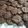 Cooksnap dari Fitri Why Wahyuni untuk resep Cookies Cokelat Chocochips