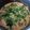 El cooksnap de Stella Navas cuando hizo Bondiola al disco con vegetales, crema doble y champignones.