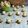 Cooksnap dari Nuniek Wijayanti untuk resep 395. German Sheep Cookies (No eggs)