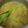 Cooksnap dari farieda nur untuk resep Sayur nangka santan