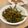 Yvette 的 干貝xo醬炒空心菜 cooksnap