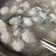 Cooksnap dari Sutini Tini untuk resep Bakso ayam blender