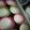 Cooksnap dari candida daily untuk resep Cheesecake lumer DEBM (Diet enk bahagia n menyenangkan)
