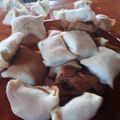 El cooksnap de Sandra Zapata cuando hizo Empanadas de repollo, o empanadas alemanas.