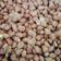 Cooksnap dari christine kakuhes untuk resep Kacang Disco Khas Makassar
