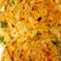 Neeta kamble का कुकस्नैप जब उन्होंने लच्छा पराठा (Lachha paratha recipe in hindi) बनाया था।