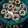 Cooksnap dari Mom's juna untuk resep Donat Kentang super lembuttt