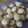 El cooksnap de lau_802010 cuando hizo Alfajores de maizena ecónomicos y tiernitos.