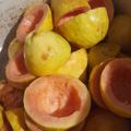 El cooksnap de sonia piana cuando hizo Borlas y Donas con azúcar.