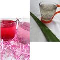 کوک اسنپ مائده بهشتی بعد از امتحان کردن شربت آلوئه ورا با بذر ریحان.