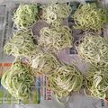 Cooksnap dari Riin SoLetta untuk resep 214. Mie Telur Wortel Homemade