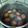 Ivy Hsu 的 伯爵茶葉蛋🥚 cooksnap
