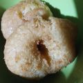Cooksnap dari Dwi Indah untuk resep Donat Keto No Tepung