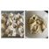 Cooksnap dari Omanya Hayden untuk resep Adonan pangsit babi kuah dan tahu bakso babi kuah