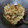 Cooksnap dari Fadil's Kitchen untuk resep Bakwan Bonggol Kembang Kol Rame-Rame