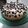 Midnightchef 's cooksnap of when they made Raspberry Cream Coffee Cake.