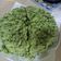 Cooksnap dari Anita Permatasari untuk resep Bolu Daun Katuk Kukus (Lembut, 2 telur saja)
