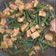 Cooksnap dari titri dwi untuk resep Tempe Kecap Kacang Panjang