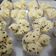 Cooksnap dari Abdi Susanti untuk resep Bolu Kukus Mekar (Ubi Ungu,Labu Kuning,Pandan)
