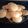 El cooksnap de Silvana Rampellini cuando hizo Scones de queso 🧀 sin gluten.