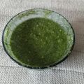 thakkarmansi's cooksnap of when they made ગ્રીન ચટણી પ્રીમીકસ (Green Chutney Premix Recipe In Gujarati).
