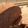 Cooksnap από Asimomiti Dimitra στη συνταγή Το μπυρόψωμο