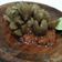 Cooksnap dari Inury Kitchen || °Ria° untuk resep Bakso Penyet