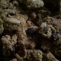Cooksnap dari Yekie Senja Oktora untuk resep Oat cookies - Diet