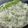 Sandhya Deshmukh's cooksnap of when they made जिरा राईस (jeera rice recipe in marathi).