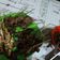 Cooksnap dari bundaalesha untuk resep Sate sapi bumbu kecap, empuk, enak dan cepat