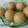 Preeti V. Salvi's cooksnap of when they made पौष्टिक गुळ शेंगदाणा लाडु (gul shengdana ladoo recipe in marathi).