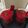 Swati Sheth's cooksnap of when they made Apple, Beetroot And Carrot Juice.