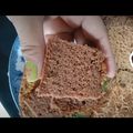 Cooksnap dari Tyaslaras untuk resep Bolu cokelat panggang