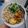 Cooksnap dari puti auliana untuk resep Mie ayam shirataki