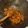 Cooksnap dari Surya untuk resep Oseng Tempe Kecap Pedas
