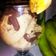 Cooksnap dari Yulis Fresti Aryanti untuk resep Banana and Peanut Butter Ice Cream