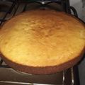 El cooksnap de Sita Balanzzino cuando hizo Budín de limón - Fácil y económico 🍋.
