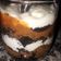 El cooksnap de Ludmila cuando hizo Postres oreo con dulce de leche.