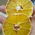 کوک اسنپ بانو صادقی بعد از امتحان کردن چیپس پرتقال 🍊.