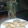 El cooksnap de Giuuli☺ cuando hizo COOKIES -Galletas con chips/chispas de chocolate.