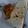 Annie's cooksnap of when they made Homemade degi chicken qorma.